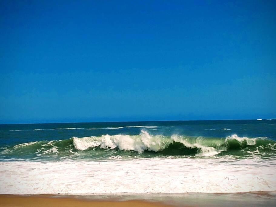 Aloha Sertao Flats Sao Sebastiao  Dış mekan fotoğraf